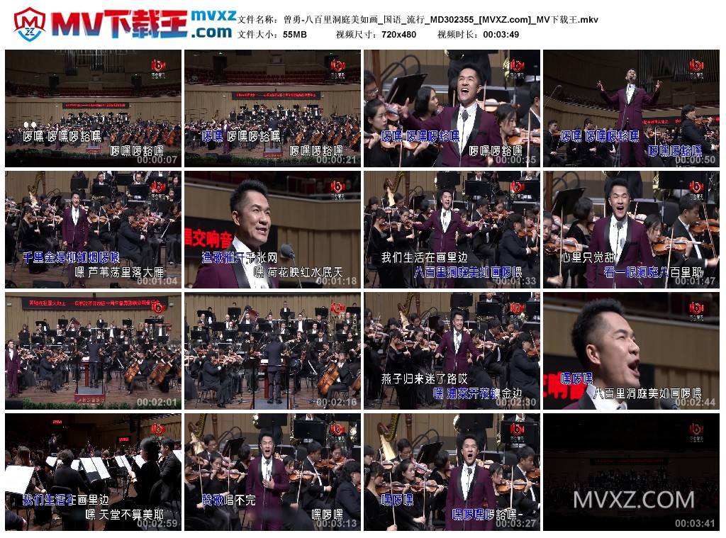 曾勇-八百里洞庭美如画_国语_流行_MD302355